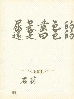 尿是黄色的正常还是白色的正常