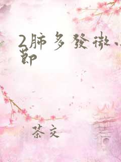 2肺多发微小结节