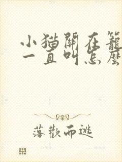 小猫关在笼子里一直叫怎么办