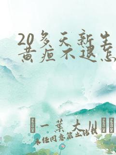 20多天新生儿黄疸不退怎么办