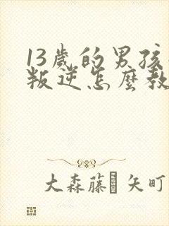 13岁的男孩子叛逆怎么教育