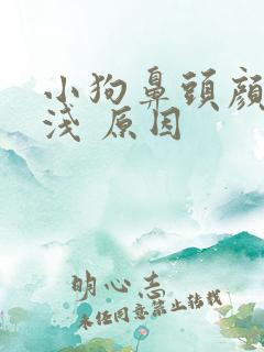 小狗鼻头颜色变浅 原因