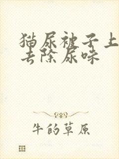 猫尿被子上怎么去除尿味