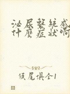 泌尿系统感染是什么症状啊