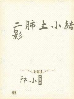 二肺上小结节样影