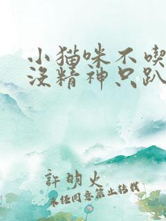 小猫咪不吃不喝没精神只趴着怎么办