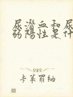 尿潜血和尿蛋白弱阳性是什么意思