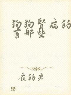 狗狗肾病的症状有哪些