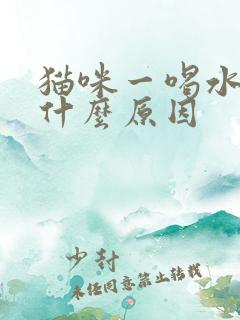 猫咪一喝水就呛什么原因