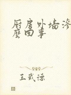 厨房外墙渗水怎么回事