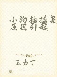 小狗抽搐是什么原因引起