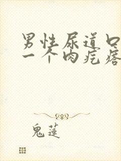 男性尿道口长了一个肉疙瘩