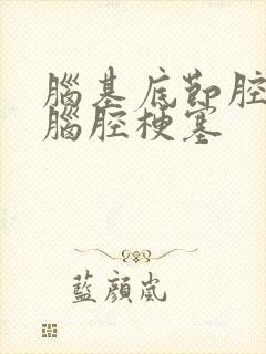 脑基底节腔隙性脑腔梗塞