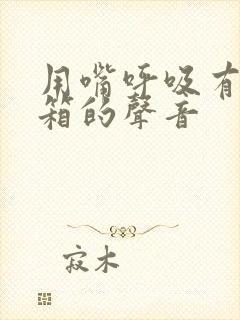 用嘴呼吸有拉风箱的声音