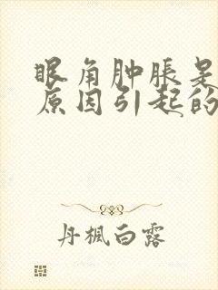 眼角肿胀是什么原因引起的