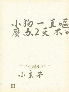 小狗一直呕吐怎么办2天不吃东西了