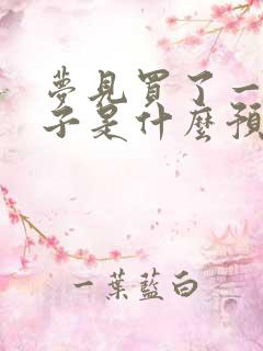 梦见买了一只兔子是什么预兆