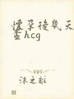 怀孕后几天可以查hcg