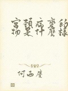 宫颈病变的分泌物是什么样的