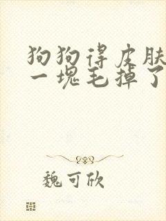 狗狗得皮肤病有一块毛掉了