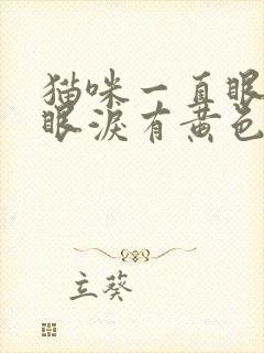 猫咪一直眼睛流眼泪有黄色的