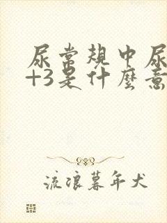 尿常规中尿蛋白+3是什么意思