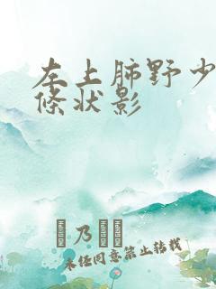 左上肺野少许索条状影