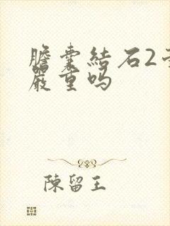 胆囊结石2毫米严重吗