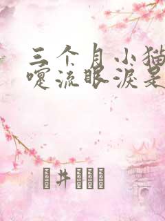 三个月小猫打喷嚏流眼泪是怎么回事