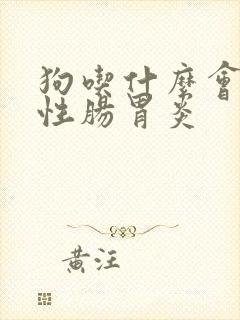 狗吃什么会得急性肠胃炎