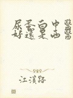 尿蛋白中医治疗好还是西医致疗好