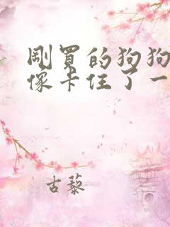 刚买的狗狗咳嗽像卡住了一样