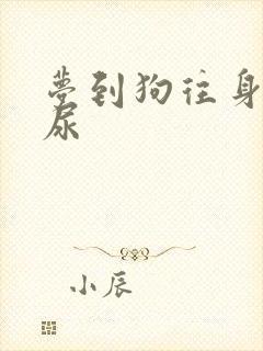 梦到狗往身上撒尿