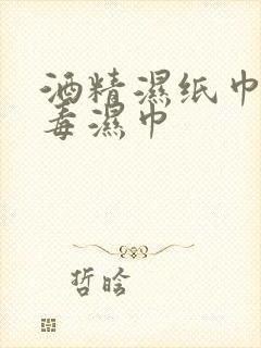 酒精湿纸巾 消毒湿巾