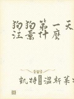 狗狗第一天到家注意什么