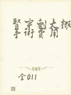 肾穿刺大概多少手术费用