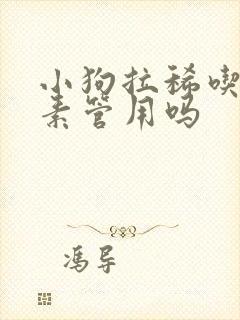 小狗拉稀吃土霉素管用吗