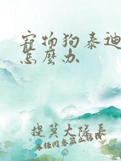 宠物狗泰迪发烧怎么办