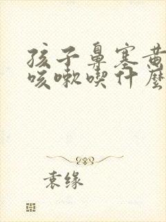 孩子鼻塞黄鼻涕咳嗽吃什么药