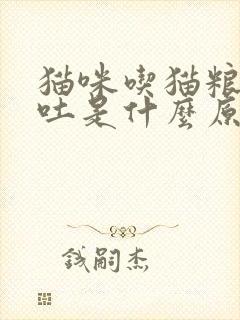 猫咪吃猫粮老是吐是什么原因