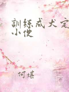 训练成犬定点大小便