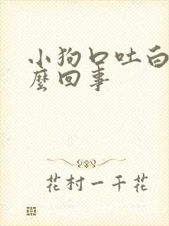 小狗口吐白沫怎么回事