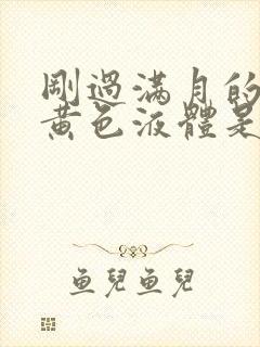 刚过满月的猫吐黄色液体是怎么回事