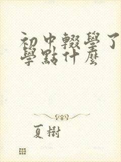 初中辍学了可以学点什么