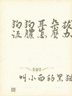 狗狗耳朵拔毛后流脓怎么办