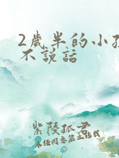 2岁半的小孩还不说话