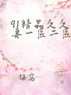 91精品久久人妻一区二区夜夜夜