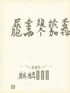 尿常规检查白细胞两个加号是什么意思