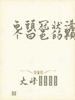 龟头冠状沟有两个白色的颗粒