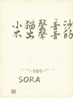 小猫声音沙哑叫不出声音的原因